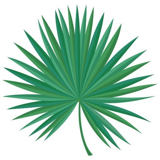 Saw Palmetto clipart